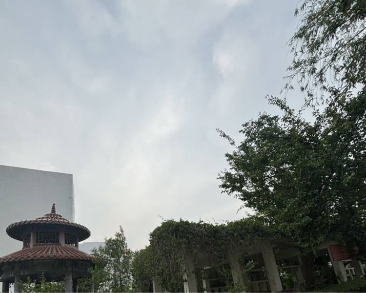 艺人背景图