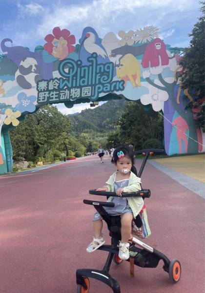 推荐艺人