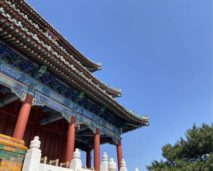 艺人背景图