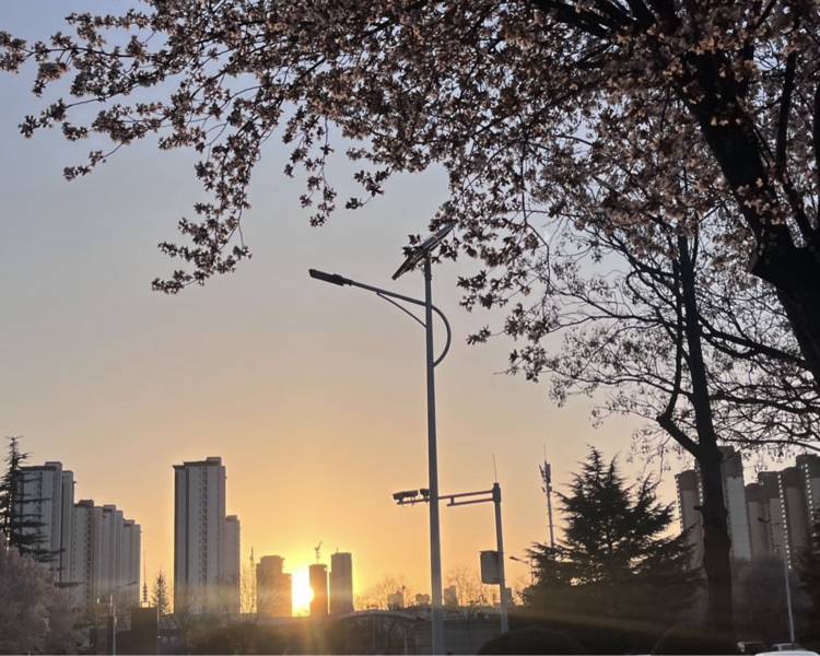 艺人背景图