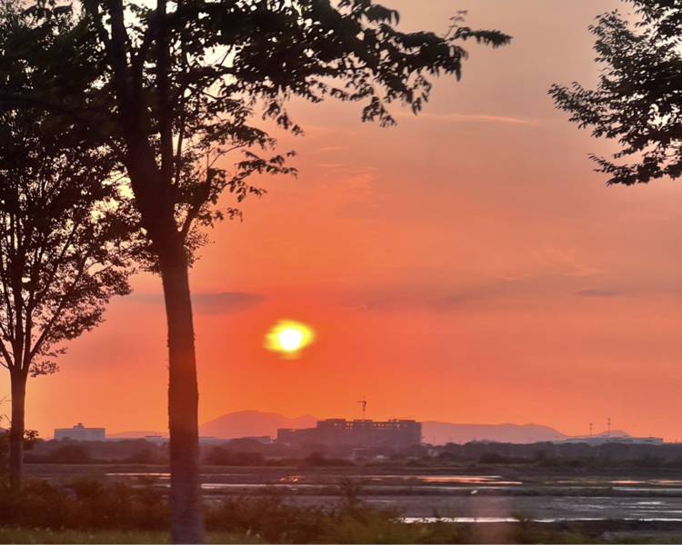 艺人背景图
