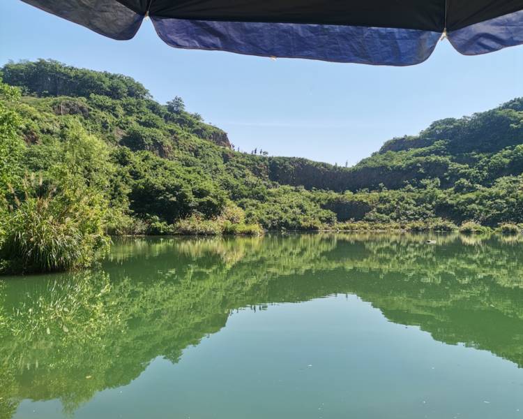 艺人背景图