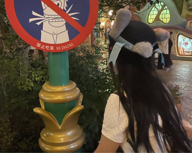 艺人背景图