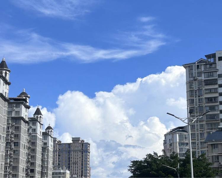 艺人背景图