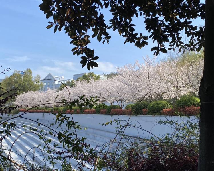 艺人背景图