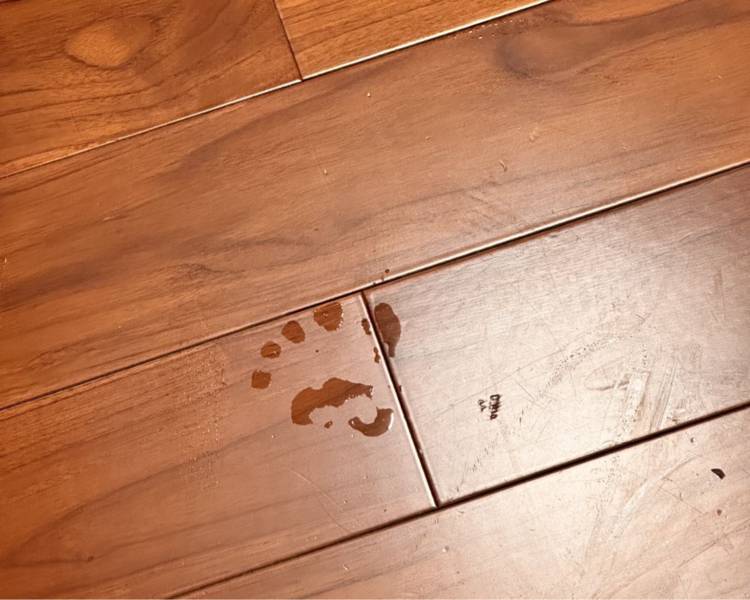 艺人背景图