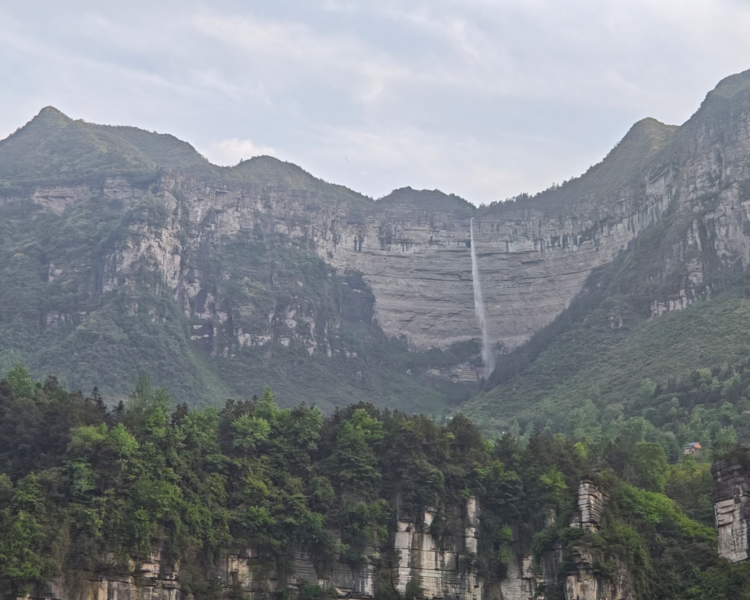 艺人背景图