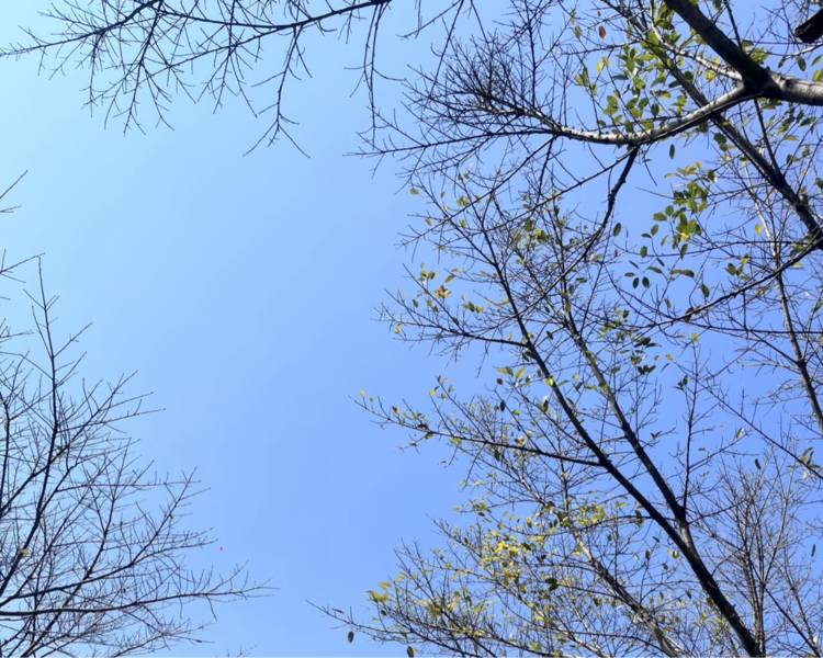 艺人背景图