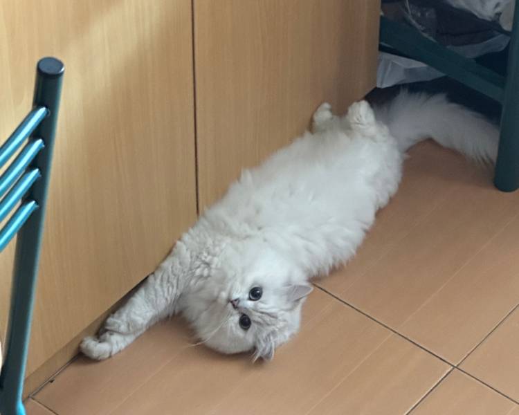 艺人背景图