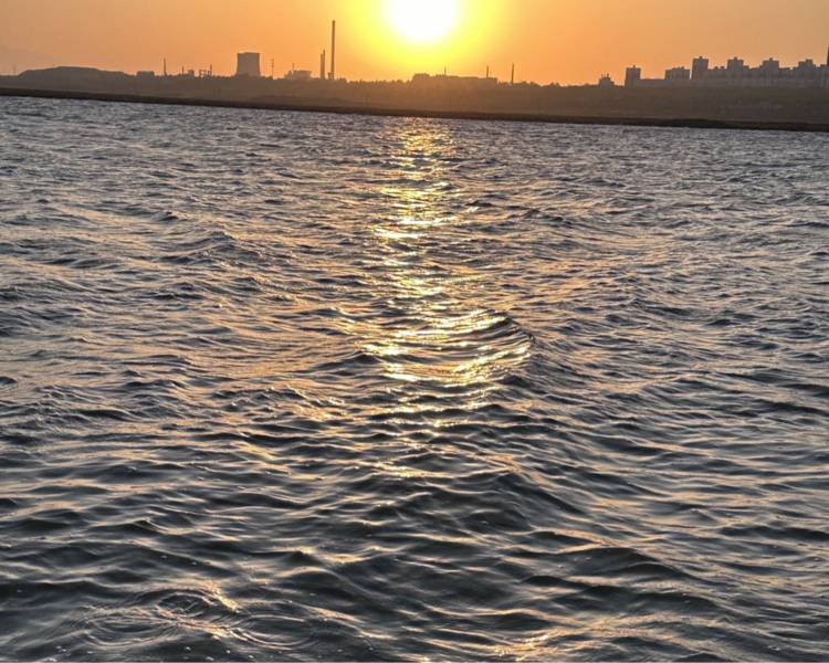艺人背景图