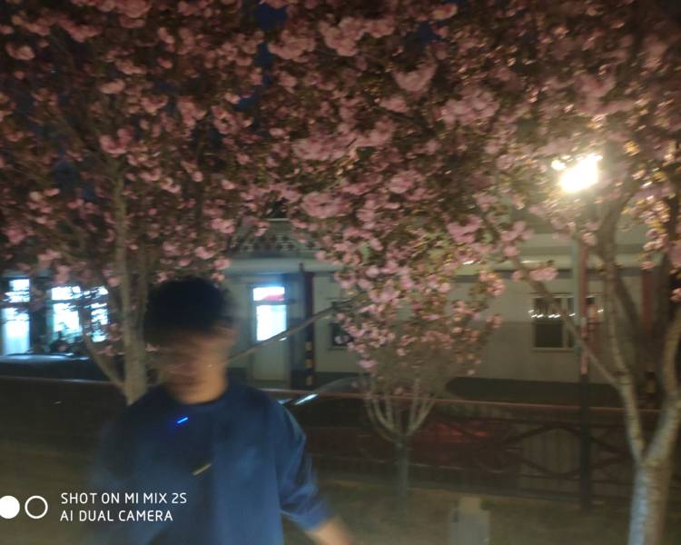 艺人背景图