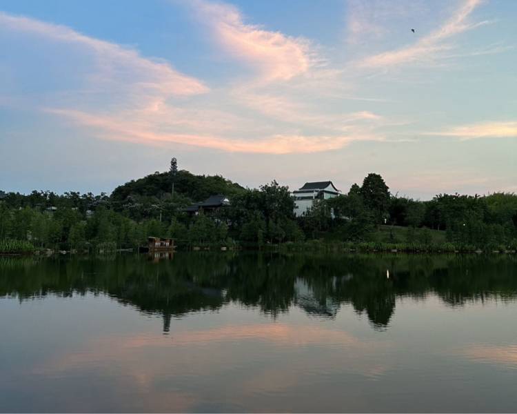 艺人背景图