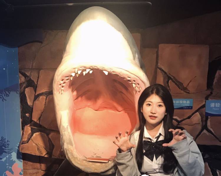 艺人背景图