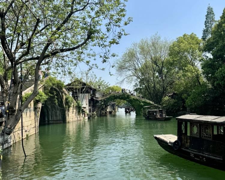 艺人背景图