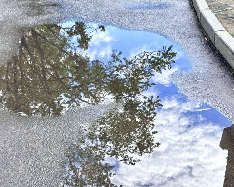 艺人背景图