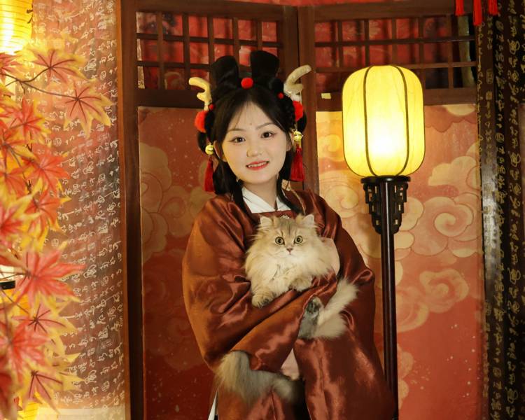 艺人背景图