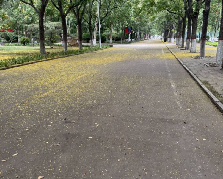 艺人背景图