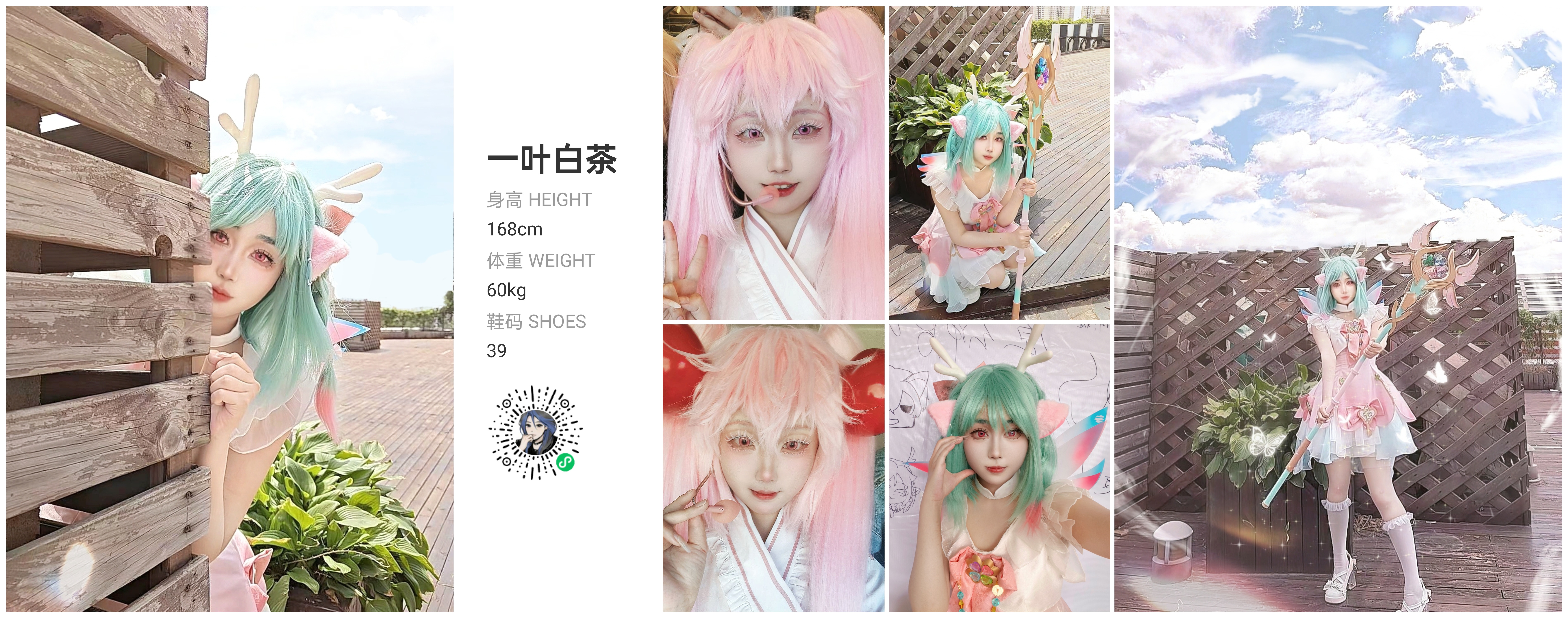 模卡