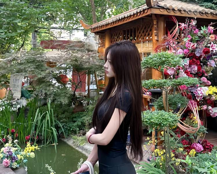艺人背景图