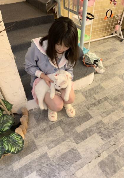 形象照片