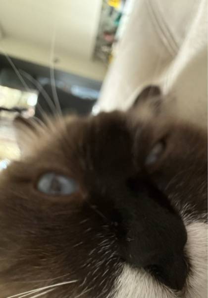 推荐艺人