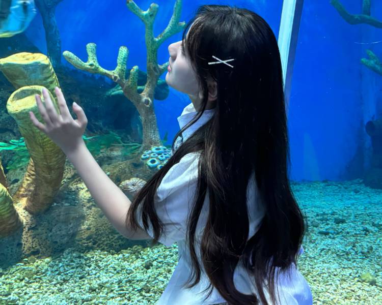 艺人背景图
