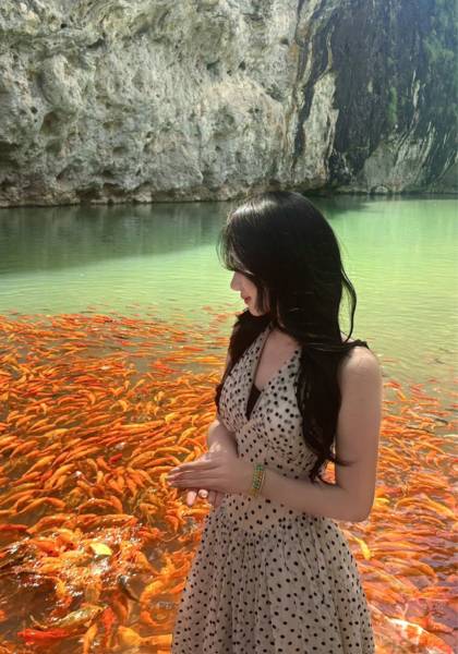 推荐艺人