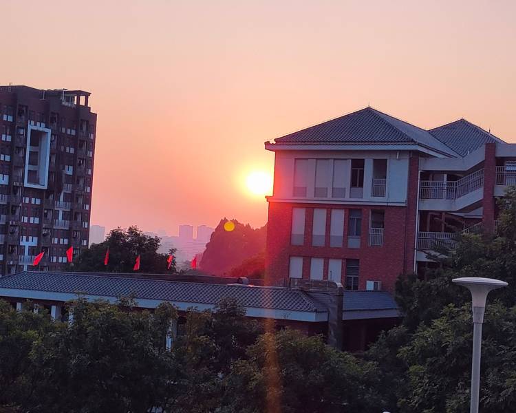 艺人背景图