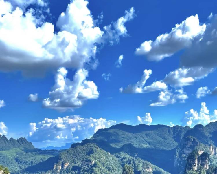 艺人背景图