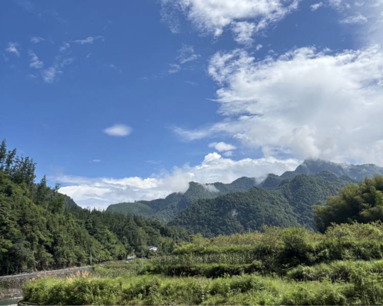 艺人背景图