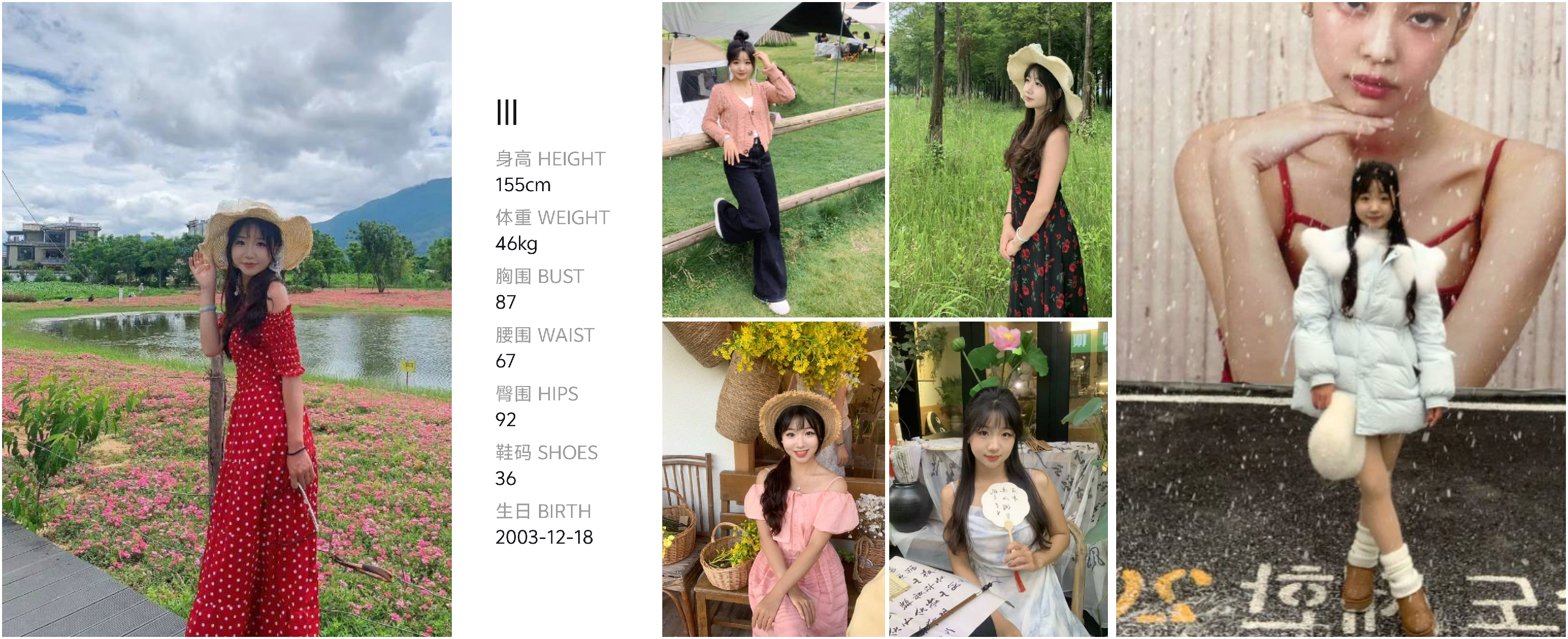 模卡
