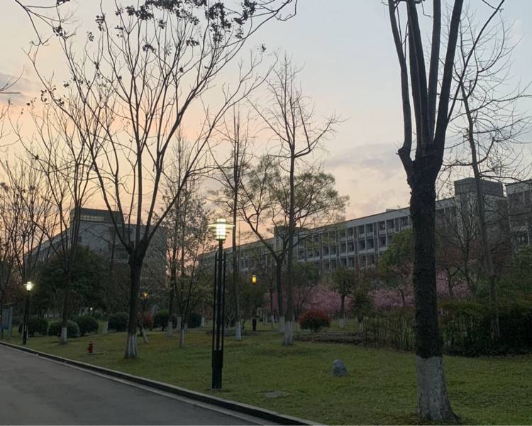 艺人背景图