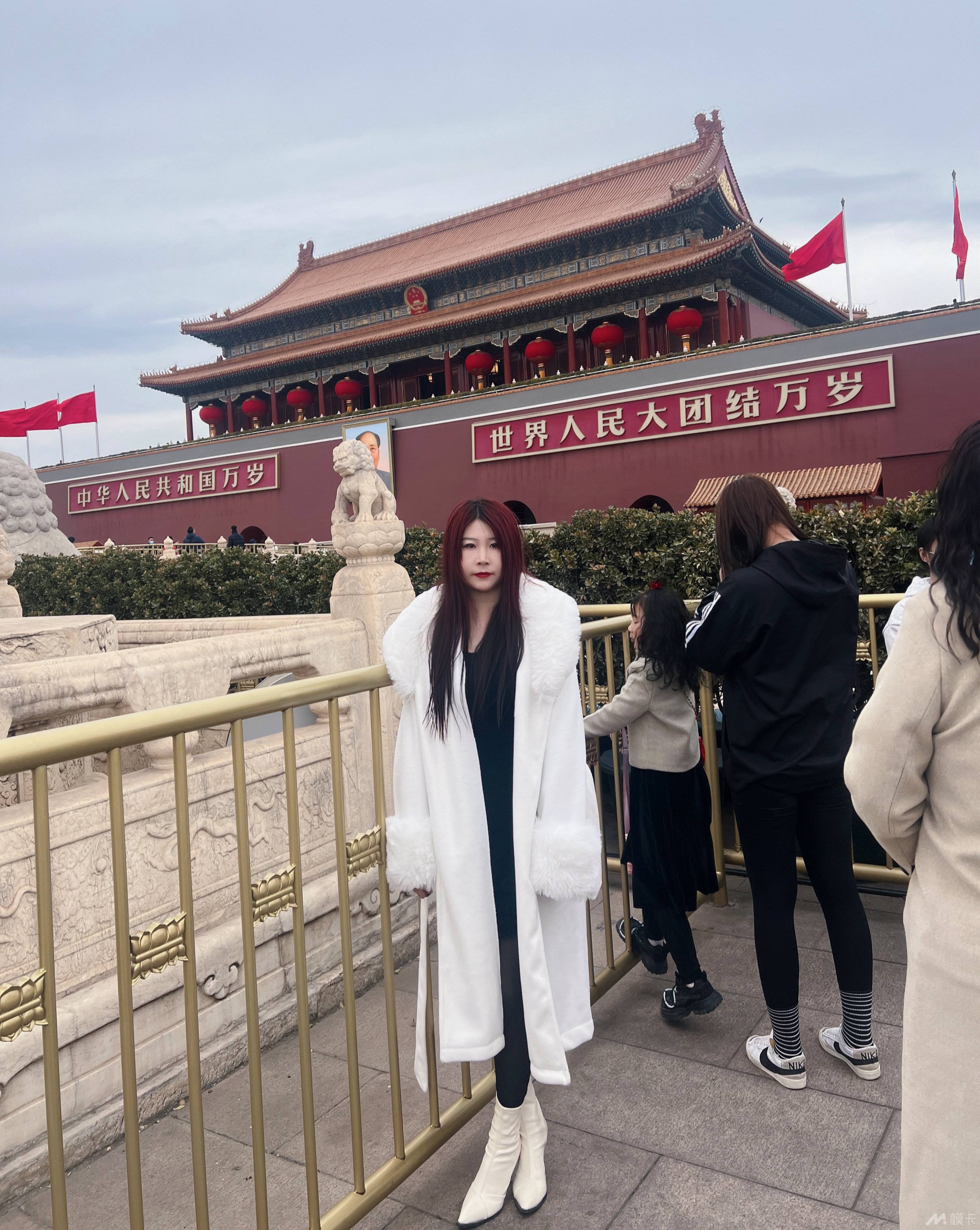 作品图片