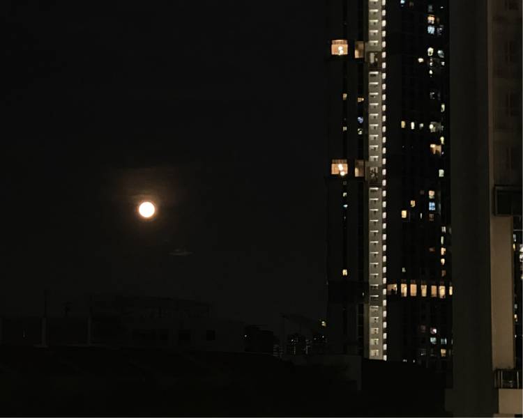 艺人背景图