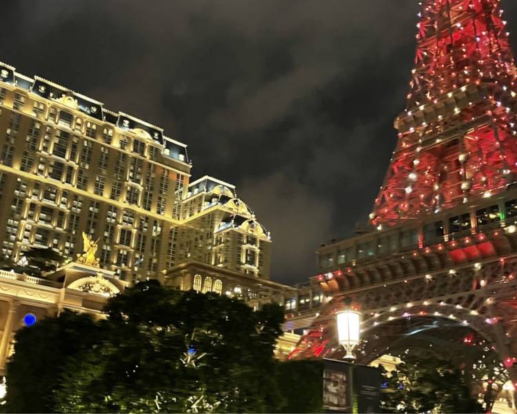 艺人背景图