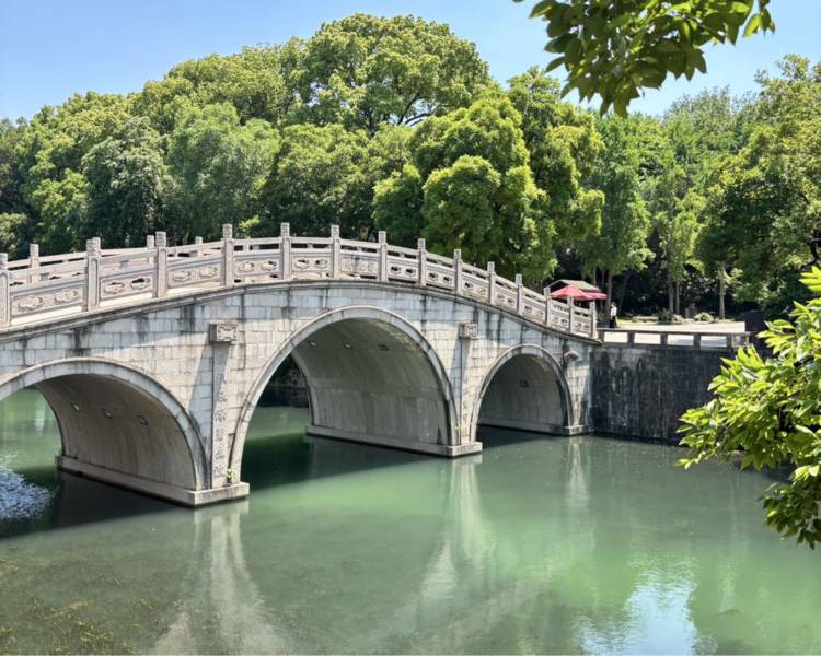 艺人背景图
