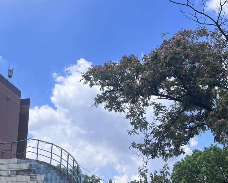 艺人背景图