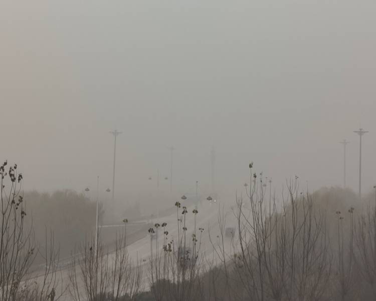 艺人背景图