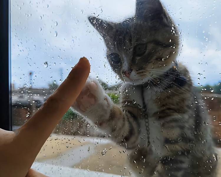 艺人背景图