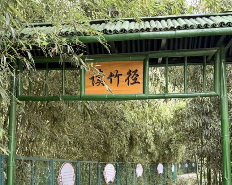 艺人背景图