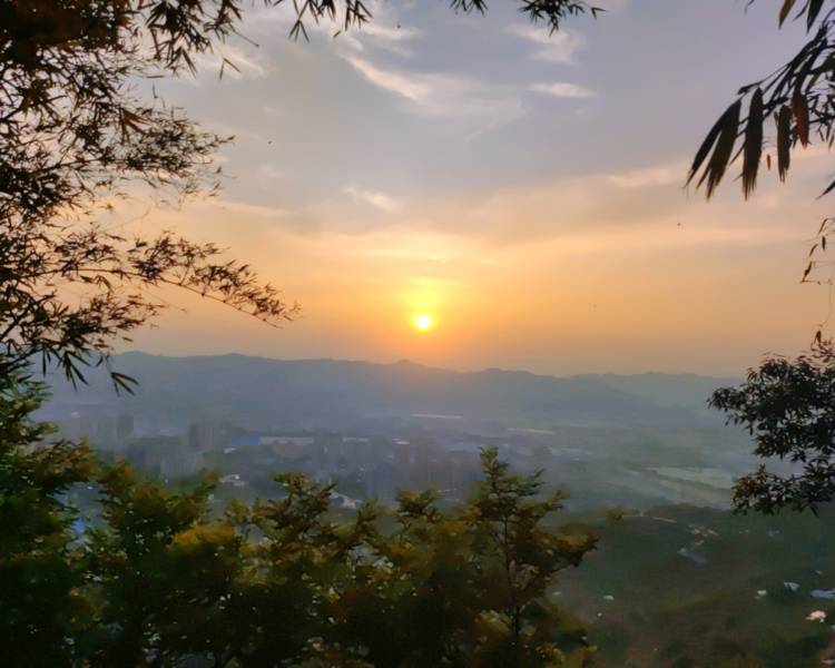 艺人背景图