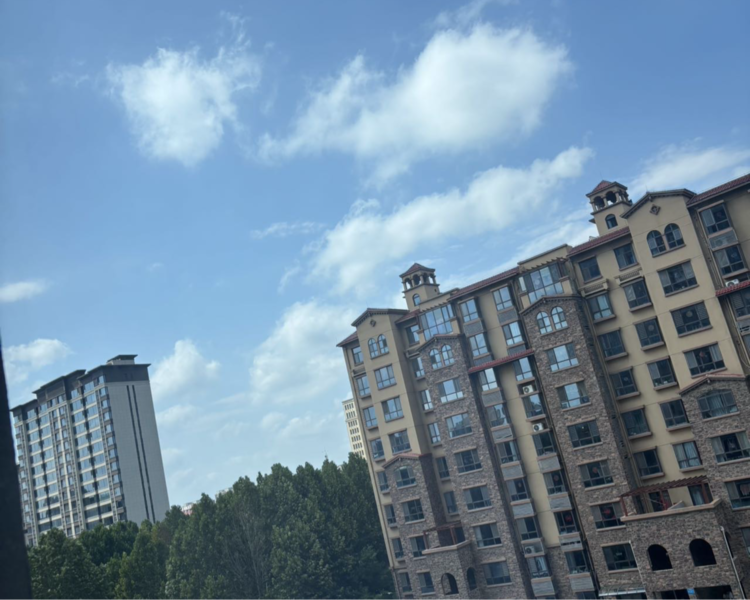 艺人背景图