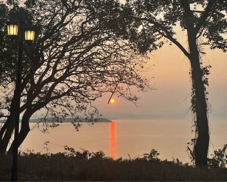 艺人背景图