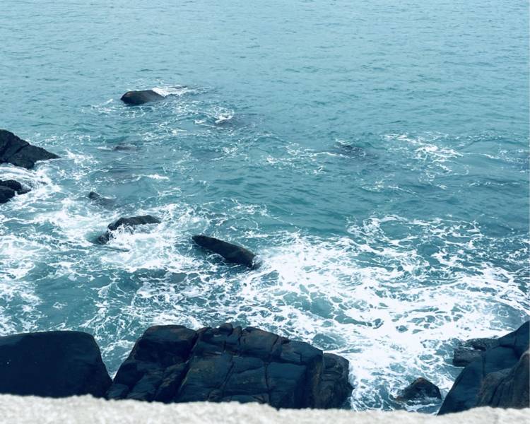 艺人背景图
