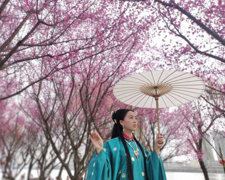 艺人背景图