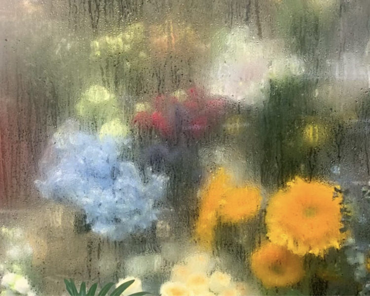 艺人背景图