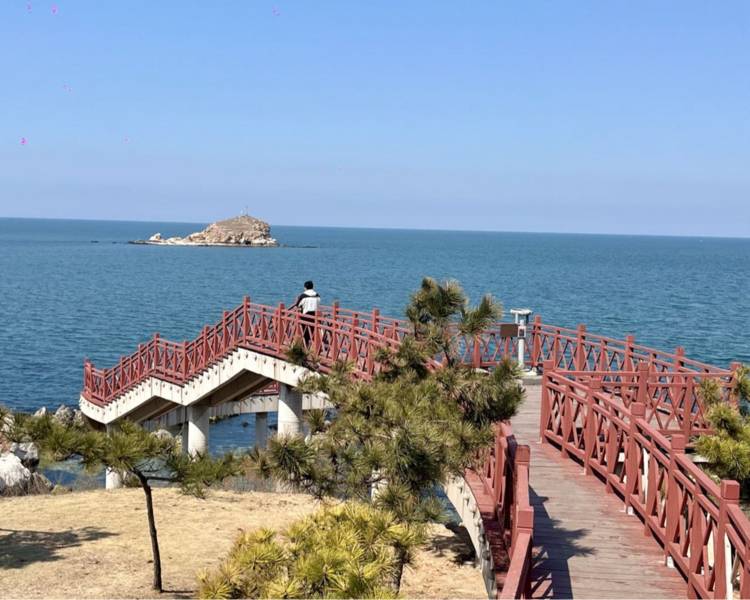 艺人背景图