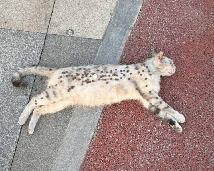 艺人背景图