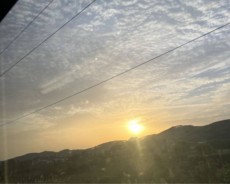 艺人背景图