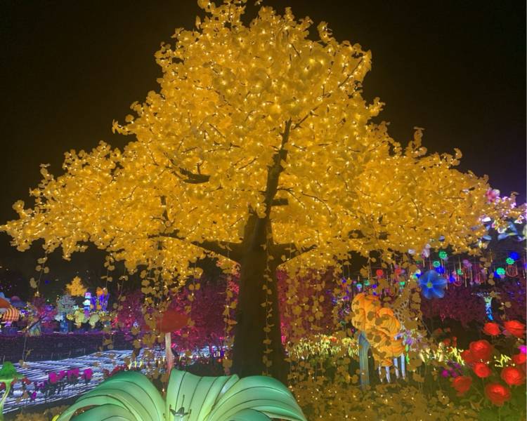 艺人背景图